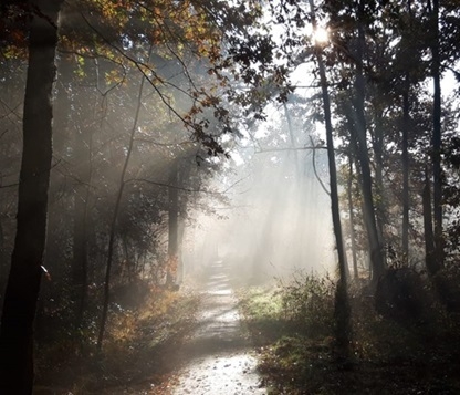 Begraven in de natuur